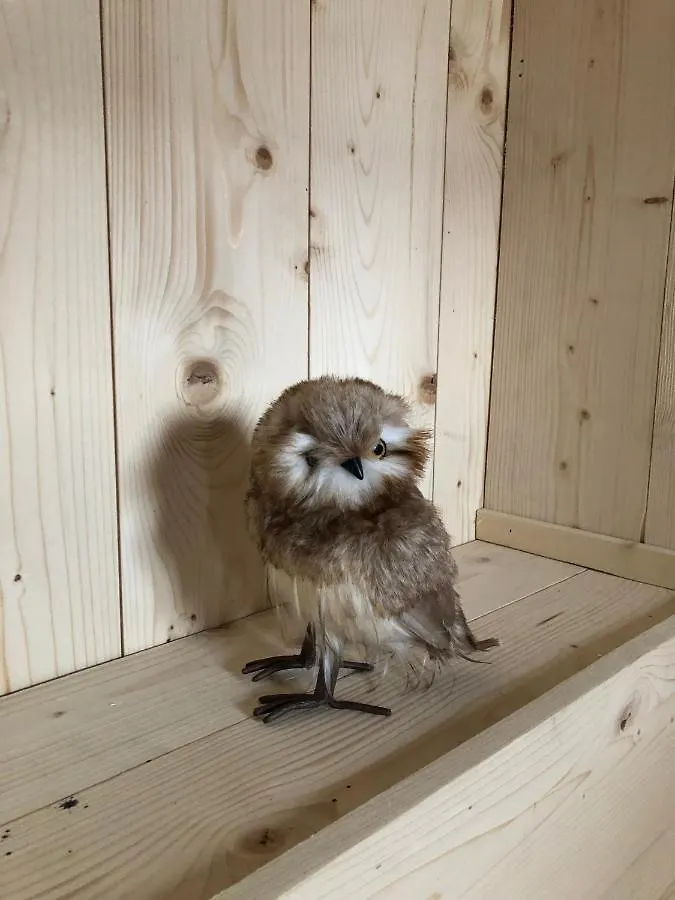 Chalet Hibou Les Deux Alpes